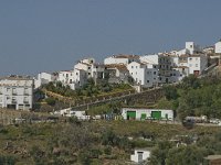 E, Malaga, Jubrique 4, Saxifraga-Jan van der Straaten