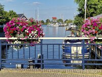 Yacht harbor of Dutch villange Terherne, Friesland, Netherlands  Yacht harbor of Dutch villange Terherne, Friesland, Netherlands : yacht harbor, harbor, harbour, water, ship, ships, boat, boats, yacht, yachts, view, landscape, urban, urban landscape, urban scene, outside, outdoor, outdoors, quai, summer, summertime, day, daytime, terherne, terhorne, de friese meren, friesland, fryslan, netherlands, holland, dutch, europe, european, railing, bridge, flowers, ornamental, kameleon, de fryske marren
