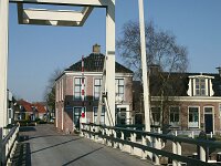 NL, Friesland, Noardeast-Fryslan, Birdaard 3, Saxifraga-Hans Boll