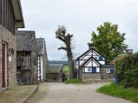 NL, Limburg, Vaals, Camerig 2, Saxifraga-Tom Heijnen