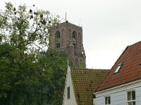 NL, Noord-Holland, Amsterdam, Ransdorp 2, Saxifraga-Hans Boll