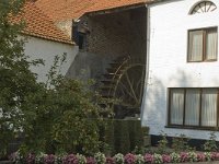 B, Limburg, Maaseik, Wurfelder Watermolen 5, Saxifraga-Marijke Verhagen