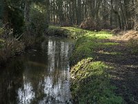 B, Limburg, Overpelt, Kleine Molen 10, Saxifraga-Marijke Verhagen