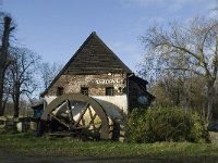 B, Limburg, Overpelt, Weelse Molen 1, Saxifraga-Marijke Verhagen