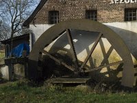 B, Limburg, Overpelt, Weelse Molen 6, Saxifraga-Marijke Verhagen