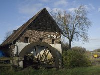 B, Limburg, Overpelt, Weelse Molen 8, Saxifraga-Marijke Verhagen