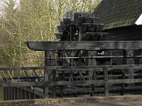 NL, Noord-Brabant, Eindhoven, Genneper Watermolen 1, Saxifraga-Marijke Verhagen