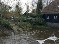 NL, Noord-Brabant, Valkenswaard, Dommelsche Watermolen 12, Saxifraga-Jan van der Straaten