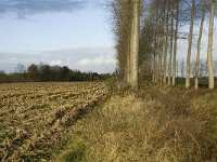 B, Limburg, Lommel, Grote Fosse 7, Saxifraga-Jan van der Straaten