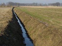 B, Limburg, Peer, Linde, Origin of Dommel 12, Saxifraga-Jan van der Straaten