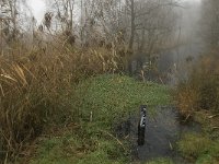 NL, Limburg, Horst aan de Maas, Mariapeel 11, Saxifraga-Jan van der Straaten