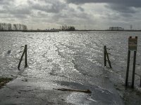 NL, Noord-Brabant, Altena, Braspenning 2, Saxifraga-Jan van der Straaten