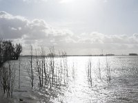 NL, Noord-Brabant, Altena, Braspenning 20, Saxifraga-Willem van Kruijsbergen