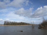 NL, Noord-Brabant, Altena, Gat van Den Kleinen Hil 2, Saxifraga-Willem van Kruijsbergen