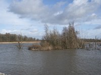 NL, Noord-Brabant, Altena, Gat van Den Kleinen Hil 4, Saxifraga-Willem van Kruijsbergen