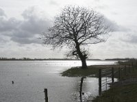 NL, Noord-Brabant, Altena, Japesloot 6, Saxifraga-Willem van Kruijsbergen