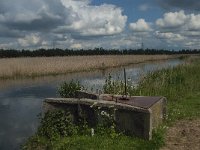 NL, Noord-Brabant, Drimmelen, Noorderplaat 5, Saxifraga-Jan van der Straaten