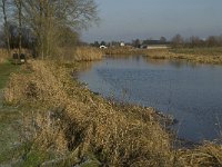 NL, Noord-Brabant, Grave, Graafsche Raam 8, Saxifraga-Jan van der Straaten