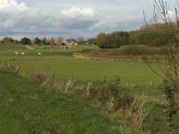 NL, Noord-Brabant, Heusden, Hoge Maasdijk 1, Saxifraga-Jan van der Straaten