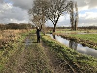 NL, Noord-Brabant, Oisterwijk, Hoevensesteeg 5, Saxifraga-Jan van der Straaten