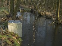 NL, Noord-Brabant, Valkenswaard, fishponds 21, Saxifraga-Jan van der Straaten