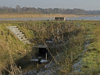 NL, Noord-Brabant, Valkenswaard, fishponds 26, Saxifraga-Jan van der Straaten