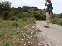 GR, Ionia Nisia, Lefkas, Agios Donatus 1, Saxifraga-Foto Fitis-Sytske Dijksen