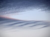 F, Vosges, la Bresse, Hohneck 2, creepy cloud, Saxifraga-Sytske Dijksen