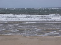 NL, Noord-Holland, Rising tide, Texel 112, Saxifraga-Foto Fitis-Sytske Dijksen