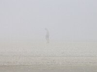 NL, Noord-Holland, Texel, Arctic sea smoke, De Slufter 145, Saxifraga-Foto Fitis-Sytske Dijksen