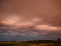 NL, Noord-Holland, Texel, Aspiritusclouds 1, Saxifraga-Foto Fitis-Sytske Dijksen