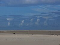 NL, Noord-Holland, Texel, Castle clouds, Noorderhaaks 22, Saxifraga-Foto Fitis-Sytske Dijksen