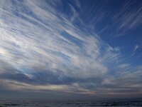 NL, Noord-Holland, Texel, Cirrus clouds, Paal 9 75, Saxifraga-Foto Fitis-Sytske Dijksen