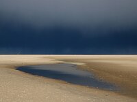 NL, Noord-Holland, Texel, De Hors 200, showers, Saxifraga-Sytske Dijksen