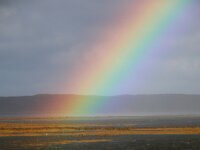 NL, Noord-Holland, Texel, De Slufter 151, rainbow, Saxifraga-Sytske Dijksen