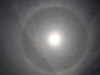 NL, Noord-Holland, Texel, Halo, Paal 33 2, Saxifraga-Foto Fitis-Sytske Dijksen