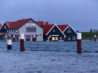 NL, Noord-Holland, Texel, Inundation, Oudeschild 27, Saxifraga-Foto Fitis-Sytske Dijksen