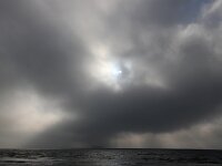 NL, Noord-Holland, Texel, Mist, Marsdiep 15, Saxifraga-Foto Fitis-Sytske Dijksen