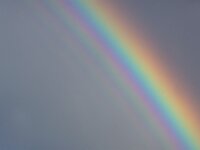 NL, Noord-Holland, Texel, Rainbow, De Hors 196, Saxifraga-Foto Fitis-Sytske Dijksen