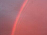 NL, Noord-Holland, Texel, Rainbow, Ruige Hoek 4, Saxifraga-Foto Fitis-Sytske Dijksen