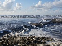 NL, Noord-Holland, Texel, Rising tide, Paal 6 3, Saxifraga-Foto Fitis-Sytske Dijksen