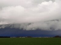 NL, Noord-Holland, Texel, Schilderweg 1, rain, Saxifraga-Sytske Dijksen
