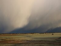 NL, Noord-Holland, Texel, Snow showers, De Hemmer 2, Saxifraga-Foto Fitis-Sytske Dijksen