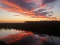 NL, Noord-Holland, Texel, Sunrise, Rommelpot 21, Saxifraga-Foto Fitis-Sytske Dijksen