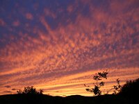 NL, Noord-Holland, Texel, Sunset, Bollekamer 63, Saxifraga-Foto Fitis-Sytske Dijksen