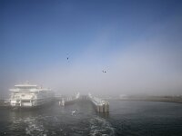 NL, Noord-Holland, Texel, Veerhaven 3, fog, Saxifraga-Sytske Dijksen