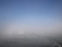 NL, Noord-Holland, Texel, Veerhaven 5, fog, Saxifraga-Sytske Dijksen