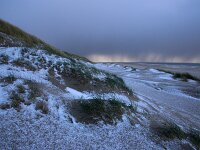 NL, Noord-Holland, Texel, paal 9 74, hail, Saxifraga-Sytske Dijksen