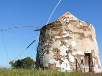 P, Beja, Odemira, Monte Maravilhas 6, Saxifraga-Tom Heijnen