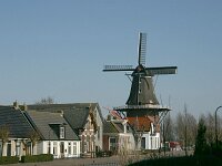 NL, Friesland, Noardeast-Fryslan, Birdaard 2, Saxifraga-Hans Boll
